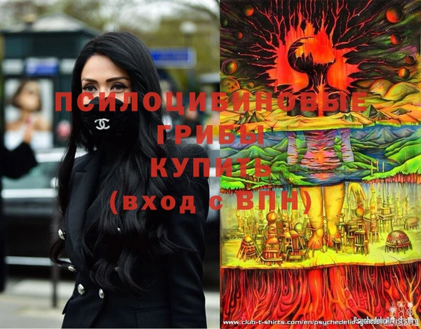 мдпв Верхний Тагил