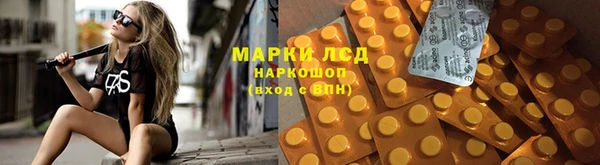 тгк Володарск