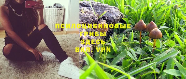 тгк Володарск