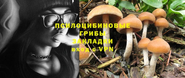 стаф Верея