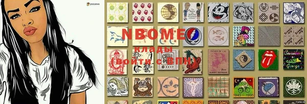 стаф Верея