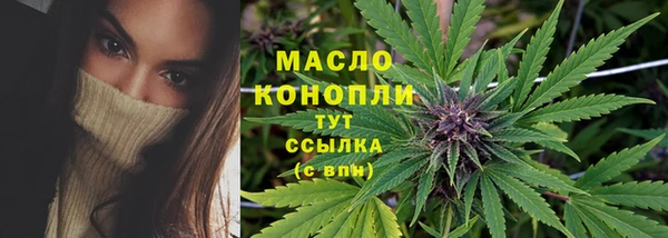 тгк Володарск