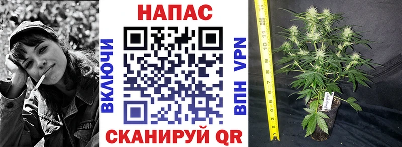 Купить где  Ревда  Каннабис тримм 